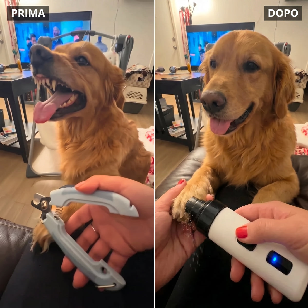 Argos Trim Pro™